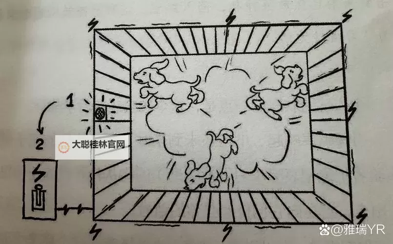看门狗 击退直升机的简单方法图1