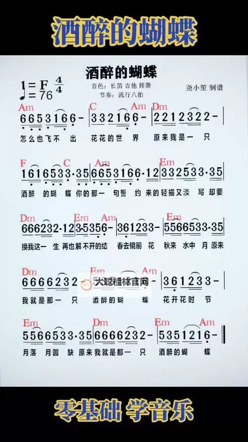 张柏芝酒醉的蝴蝶:迷幻夜色中的梦幻瞬间图1