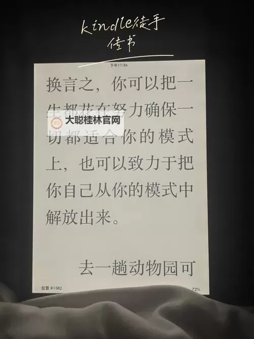 《动物井》轻松运送圆盘方法图1