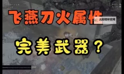 《狂野之心》飞燕刀入门教程 飞燕刀怎么玩