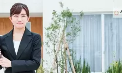色幺幺视频一区二区三区四区:全新高清内容一站尽览
