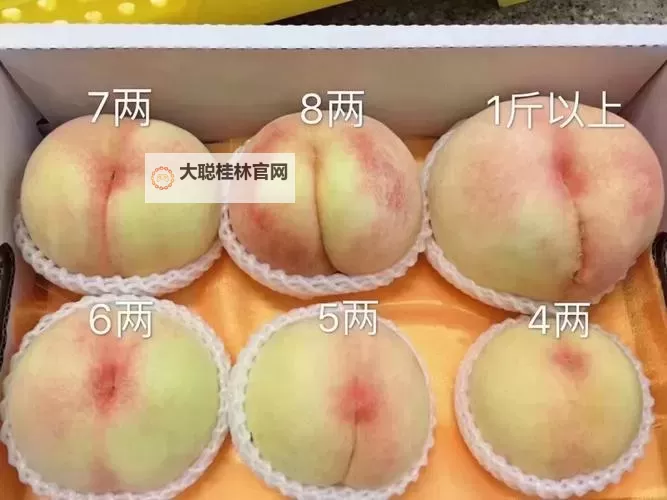 酥甜多汁：探索精品蜜桃的极致魅力图1