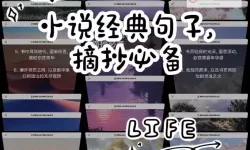 《硬邦邦的少年软软的你是什么歌:那一份纯真的青春旋律》