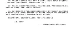 做错了事就往下面塞一个冰球作文:用冷静应对错误的智慧之道