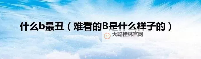 揭秘:最好玩的B是哪一种L,带你领略最精彩的体验!图1