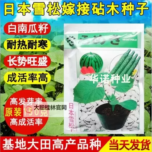 探索优质种子日本资源:打造绿色未来的关键选择图1