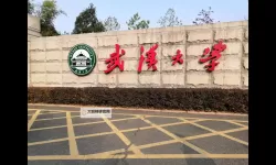 探索未来:中国麻将大学引领传统文化新潮流