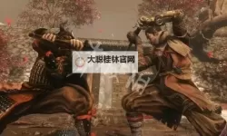 《只狼》九郎的护身符作用及使用方法 二周目怎么开启高难度