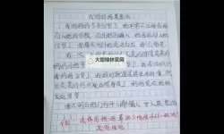 坐在学霸的鸡上背单词：双楠作文的精彩故事