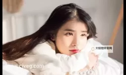 圆缺1v1沈霜：爱与成长的动人篇章
