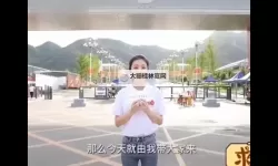 张津瑜处理通告：官方声明详解与后续安排