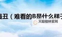 揭秘：最好玩的B是哪一种L，带你领略最精彩的体验！