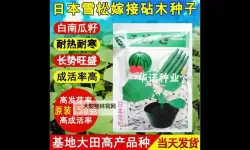 探索优质种子日本资源:打造绿色未来的关键选择