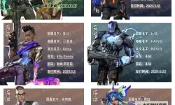 《无畏契约》4月29日外网皮肤排名