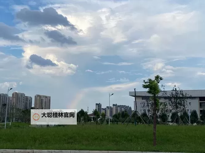 四虎影院亚洲在线观看:畅享极致高清影视体验图1