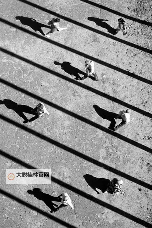 探索无限资源的宝库——尽在影子资源网图1