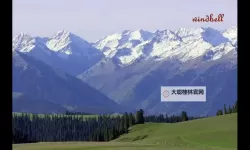 有没有豪侠双开软件推荐 深度解答如何双开豪侠