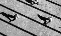 探索无限资源的宝库——尽在影子资源网