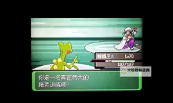 漆黑的魅影电脑版下载 漆黑的魅影电脑版安卓模拟器推荐