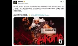 《怪物猎人荒野》街霸6联动任务攻略(中文配音)