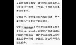 奏刚被解职原因揭秘：背后隐藏的真相