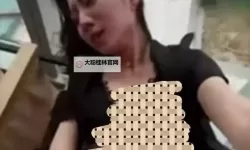 张津瑜吕总的视频哪里看?详解在线观看途径和平台推荐