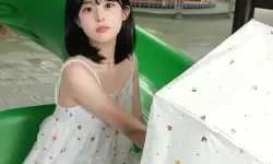 成人VA在线观看:最新高清在线看平台推荐