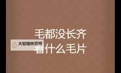 中国一级毛片：领略纯粹与高雅的极致体验