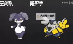 《宝可梦朱紫》系列1规则双打煤炭龟喷火队分享
