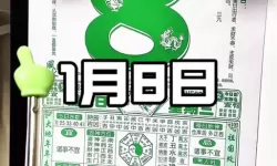 小鸡今日正确答案揭秘：助你轻松应答所有难题