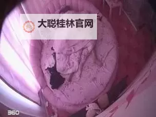 炮房色播：揭秘网络直播中的隐秘世界图1