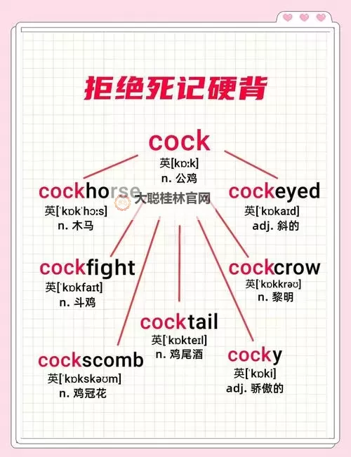 学习新技能:坐在学霸的鸡上背单词的奇幻体验图1
