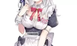 二次元人物涌动:解析日本二次元动漫人物的魅力与文化