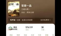 有没有官居几品双开软件推荐 深度解答如何双开官居几品