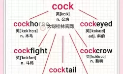学习新技能：坐在学霸的鸡上背单词的奇幻体验