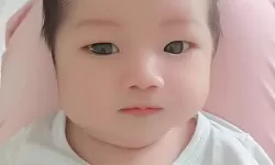 宝宝福利吧:为宝爸宝妈提供全面育儿资源与温暖交流平台