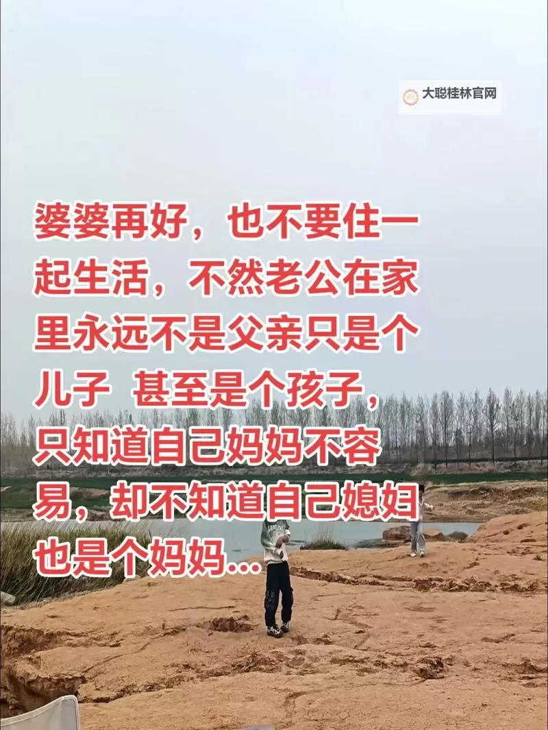 只要爸爸不在家,妈妈就是你:家庭角色的转变与情感的交织图1
