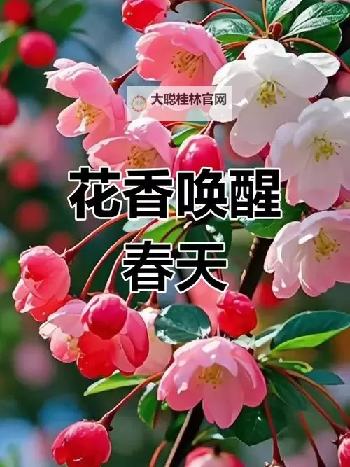超次元大海战双开挂机软件盘点 2021最新免费超次元大海战双开挂机神器推荐图1