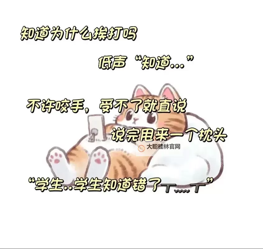 探索魅力与技巧：沈先生的花式调教书全攻略图1