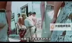 一件一件剥去你的衣服：揭开你内心的秘密面纱