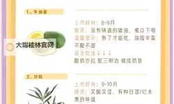 《贪吃水果》新手攻略：新手操作入门详解！