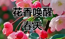 超次元大海战双开挂机软件盘点 2021最新免费超次元大海战双开挂机神器推荐