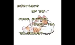 探索魅力与技巧：沈先生的花式调教书全攻略