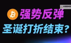 中文在线12月18日快速反弹引发市场关注