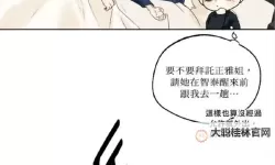 欲望之都最新地址：最新官方入口全指南