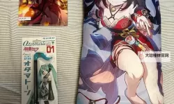 为何我会反对日本？—啊啊啊啊不要日本的呼声与思考