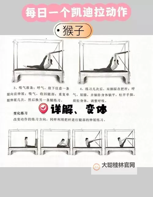 动物涨姿势电脑版下载 动物涨姿势电脑版的安装使用方法图1