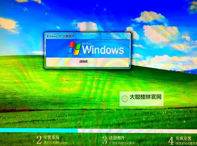 中国老奶奶轻松操控VPS Windows系统的实用指南图1