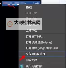最新发布：影音先锋磁力资源每日精选推荐一览图1