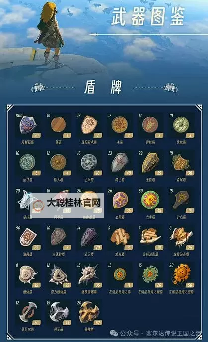 《塞尔达传说王国之泪》好用的盾牌余料组合推荐图2